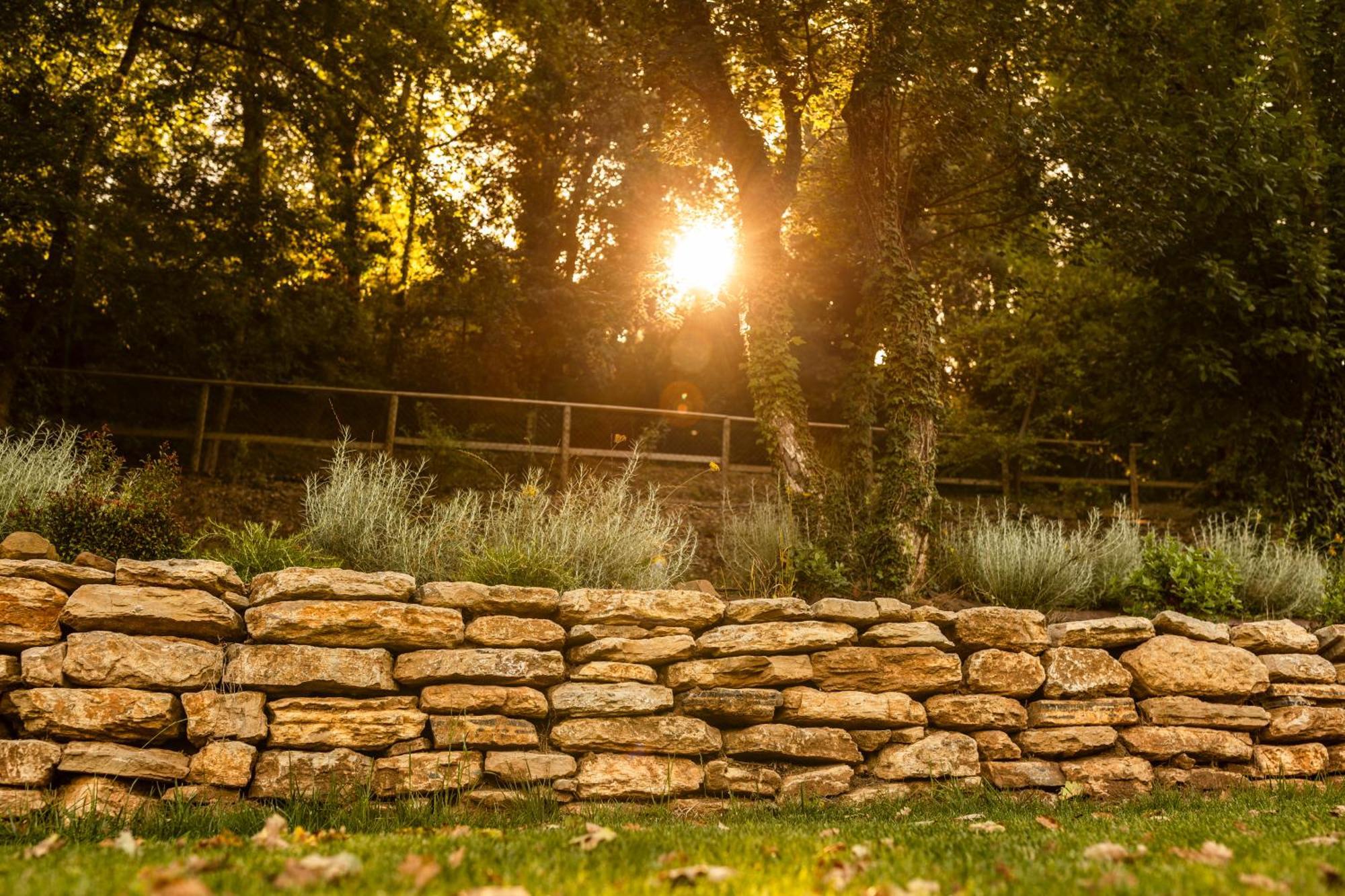 Podere La Casina Country Chic Rigomagno Eksteriør bilde