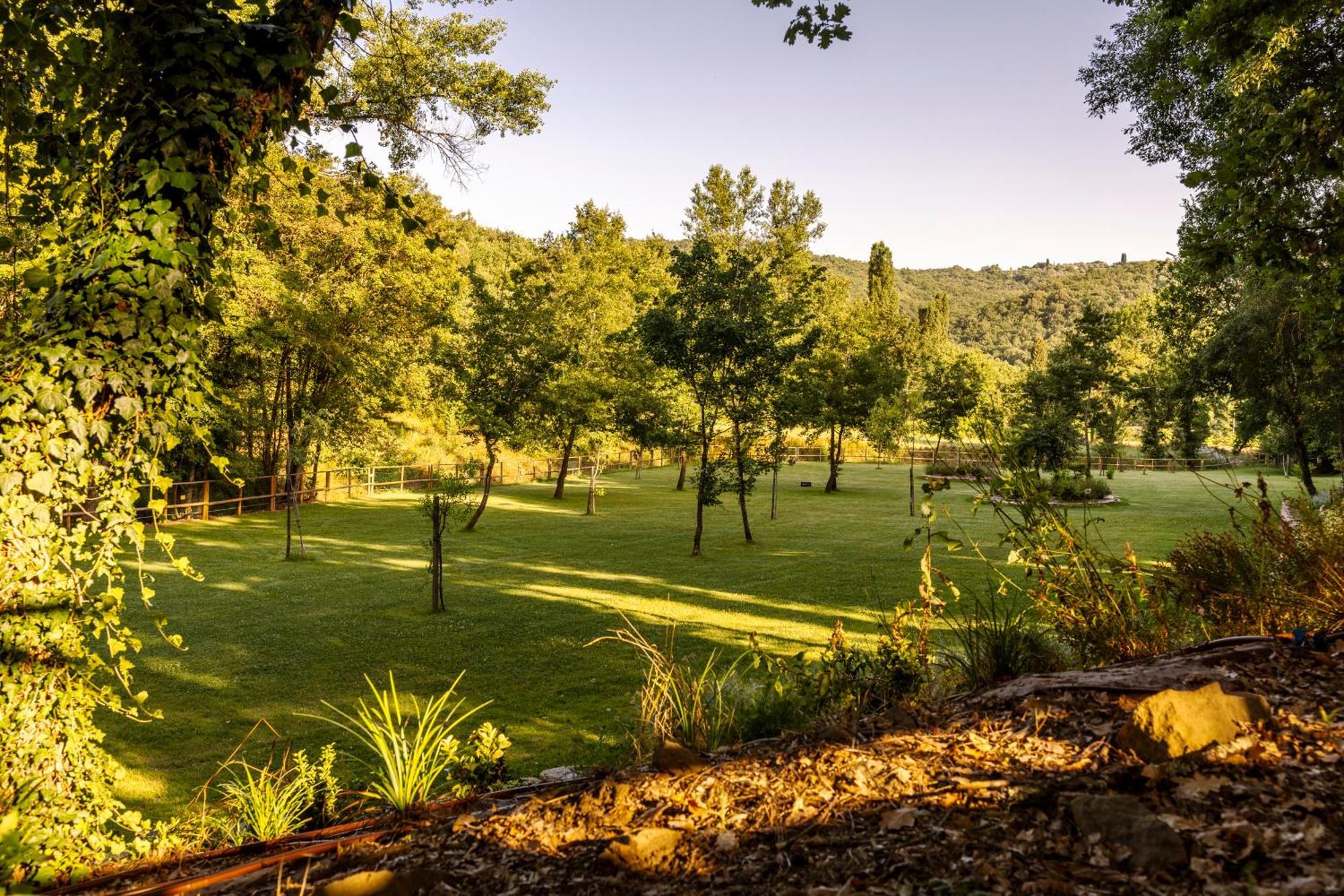 Podere La Casina Country Chic Leilighet Rigomagno Eksteriør bilde